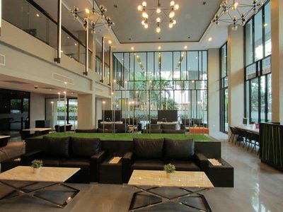 IMG_2790 [800x600].jpg