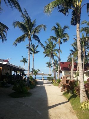 WP_20140807_036.jpg