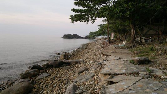 2013-12-09-1572.jpg