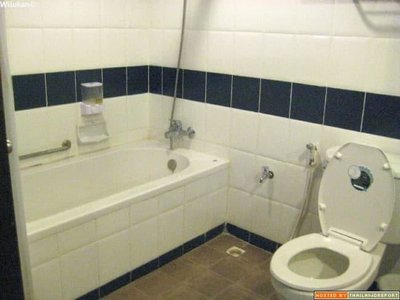 252_IMG_0384_1.jpg