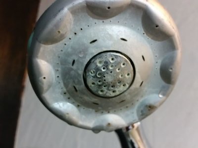20160229_093450.jpg