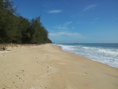 2012-01-16 04.09.22.jpg