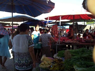 2012-01-17 10.15.51.jpg