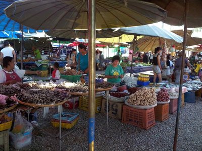 2012-01-17 10.21.39.jpg
