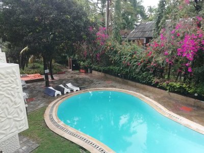 IMG_20180927_094248.jpg
