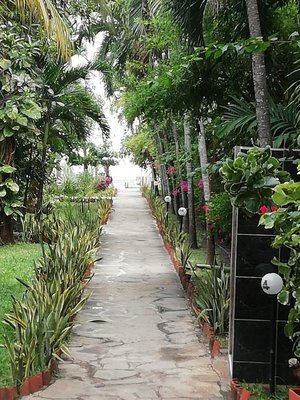 IMG_20180927_131845.jpg