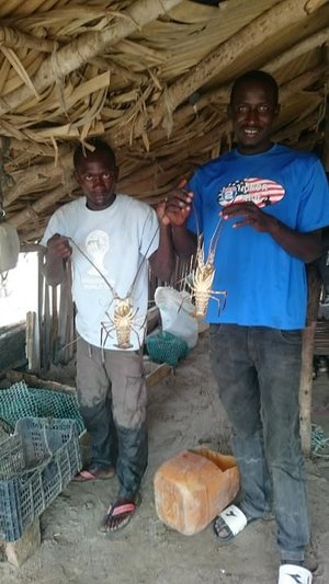 Sanyang1.jpg
