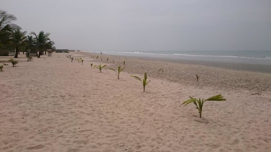 Sanyang4.jpg