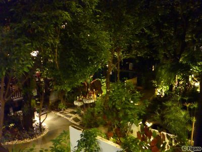 CNX-Yantarasri-09.jpg