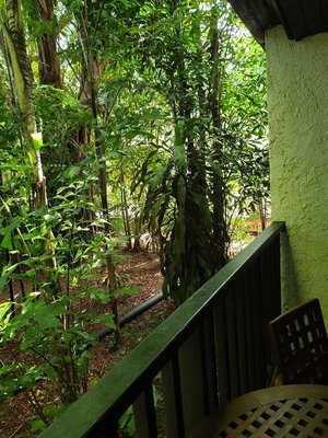 20190730_140324.jpg