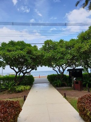 20190730_143023.jpg