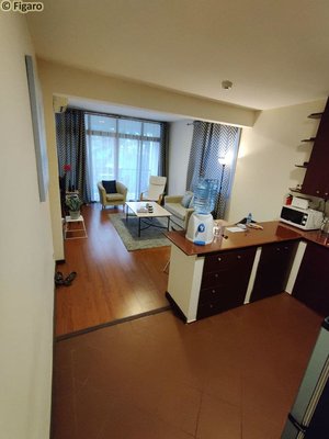 FigTreeDAR-6.jpg