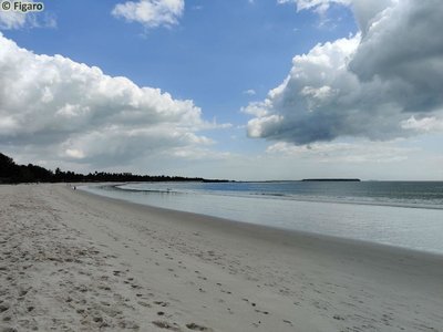 KipepeoBeachDAR-02.jpg