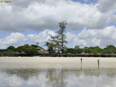 KipepeoBeachDAR-05.jpg