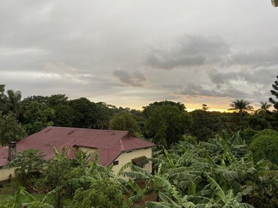 IMG_0846.jpg