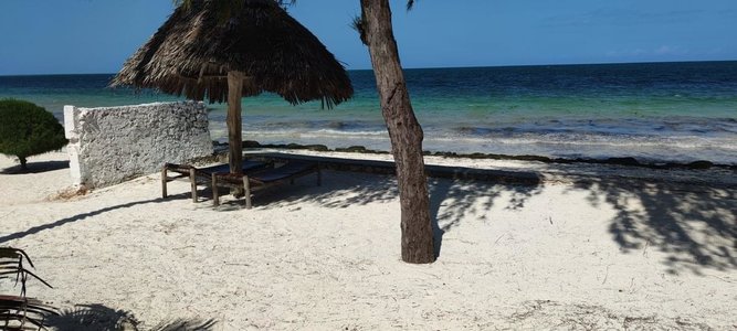 IMG_20211102_143607.jpg