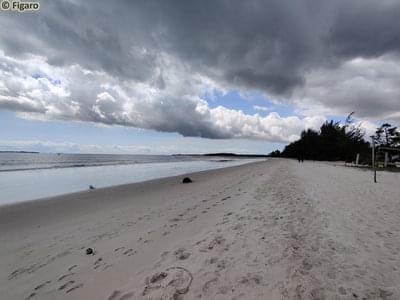 KipepeoBeachDAR-04.jpg