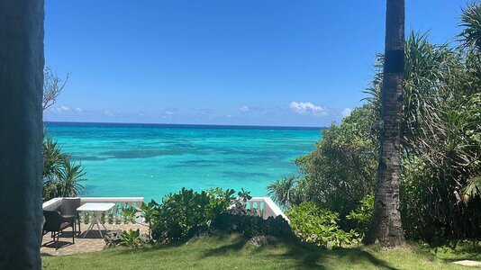 IMG_7154.jpeg