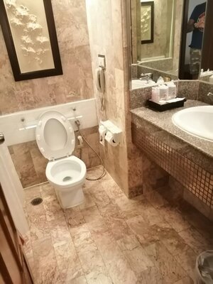 IMG_20240128_144912.jpeg