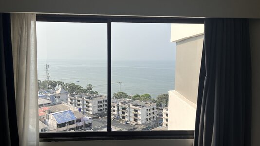 IMG_3936.jpeg