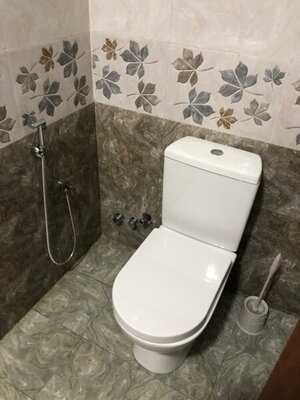 IMG_2399.jpeg