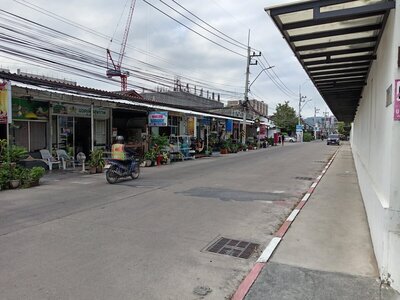IMG_20241129_091850.jpg