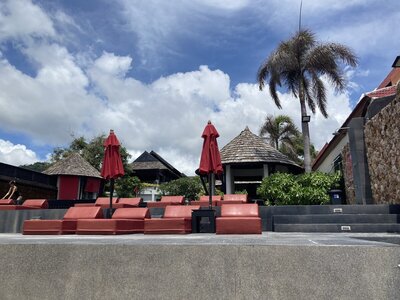 IMG_8131.jpeg