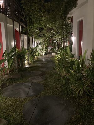 IMG_8090.jpeg