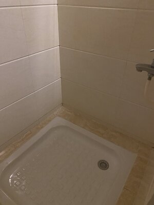 IMG_2329.jpeg