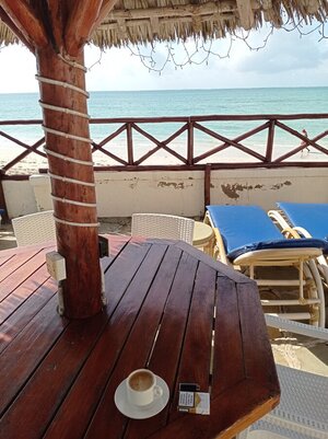 IMG_20250701_094344.jpg