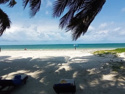 IMG_20250708_135139.jpg