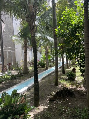 IMG_4281.jpeg