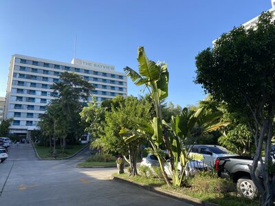 IMG_3567.jpeg