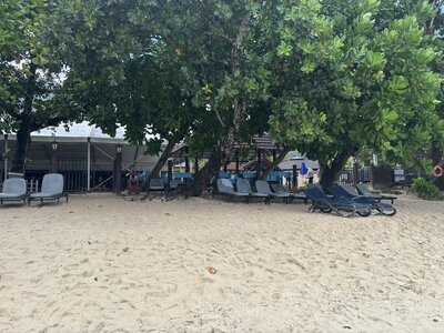 IMG_4830.jpeg