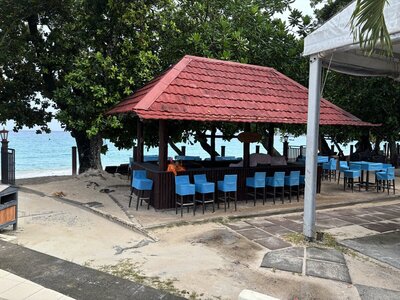 IMG_4828.jpeg