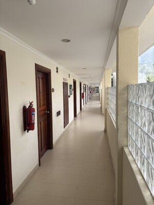 IMG_4841.jpeg