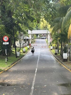 IMG_4836.jpeg
