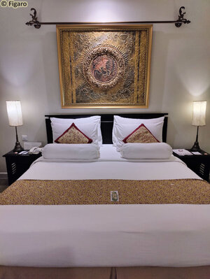 Yogyakarta-Phoenix_07.jpg