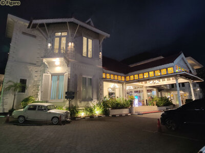 Yogyakarta-Phoenix_09.jpg