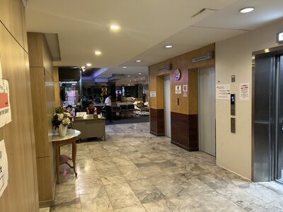 IMG_7962.jpeg