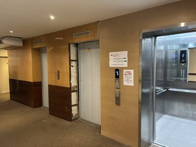 IMG_7961.jpeg