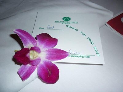 P1000111 [800x600].jpg