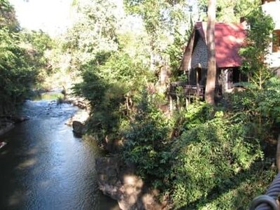 IMG_2915.jpg