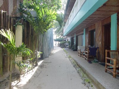 CIMG0294.jpg