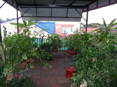 P1140869.jpg
