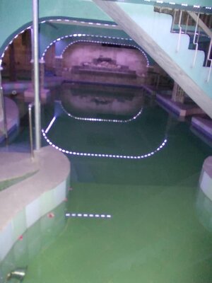 DSCN1595.jpg