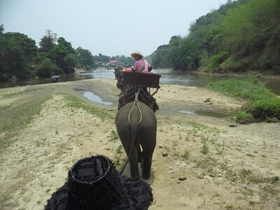 Chiang Rai T2 Elefant.jpg