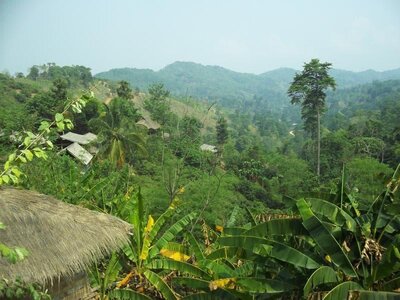 Chiang Rai T5 Trekking.jpg