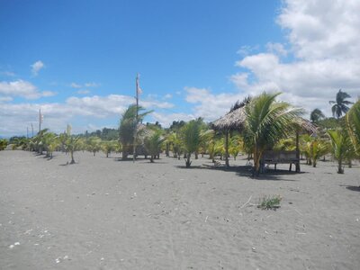 DSCN0221.jpg