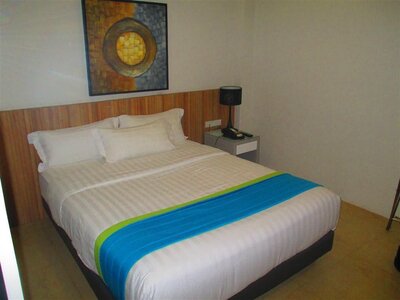 IMG_3395 (Medium).jpg